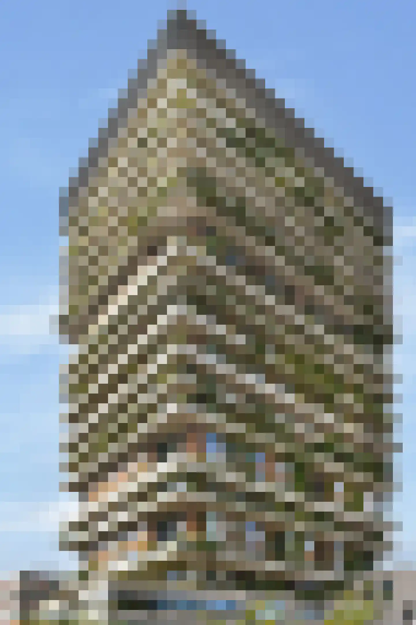 Lutonhof 353 Amsterdam thumbnail 11