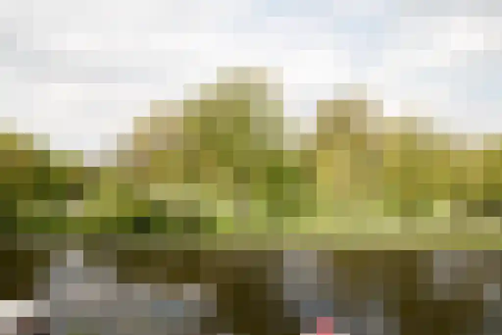Lutonhof 353 Amsterdam thumbnail 33
