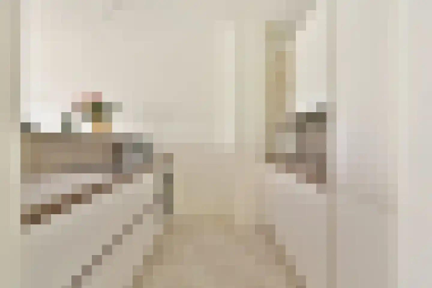 Lutonhof 353 Amsterdam thumbnail 7