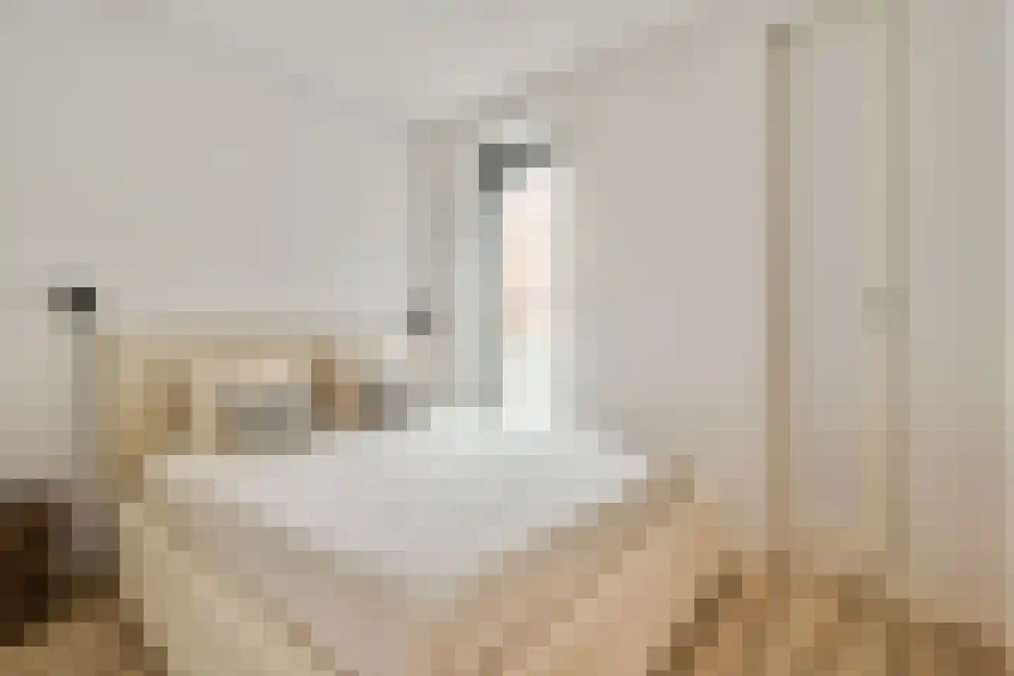 Lutonhof 379 Amsterdam thumbnail 13