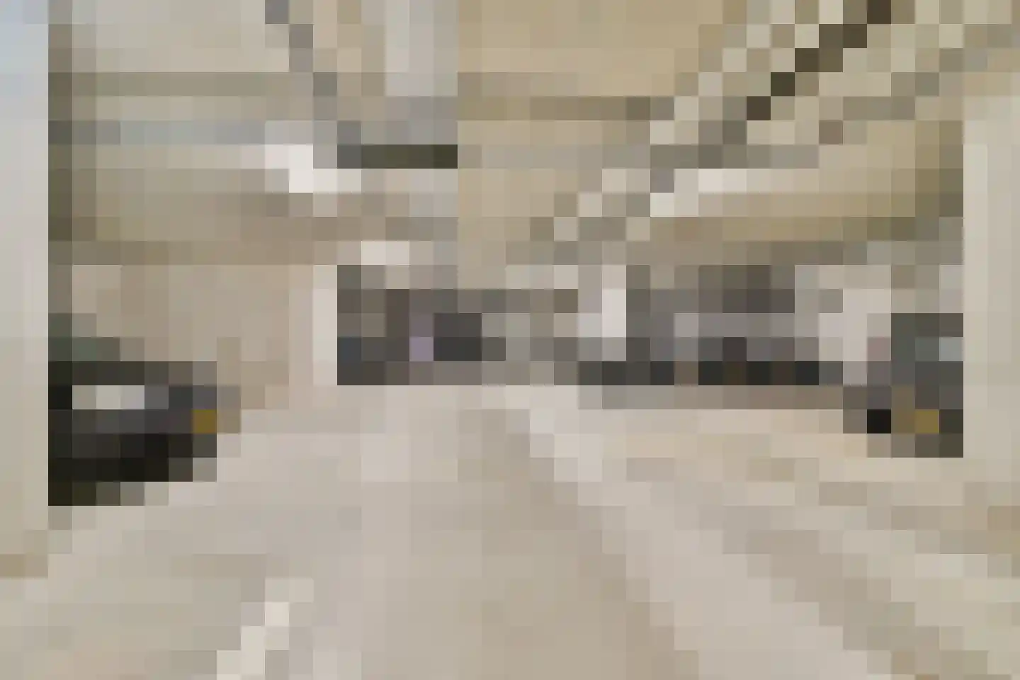 Lutonhof 379 Amsterdam thumbnail 20