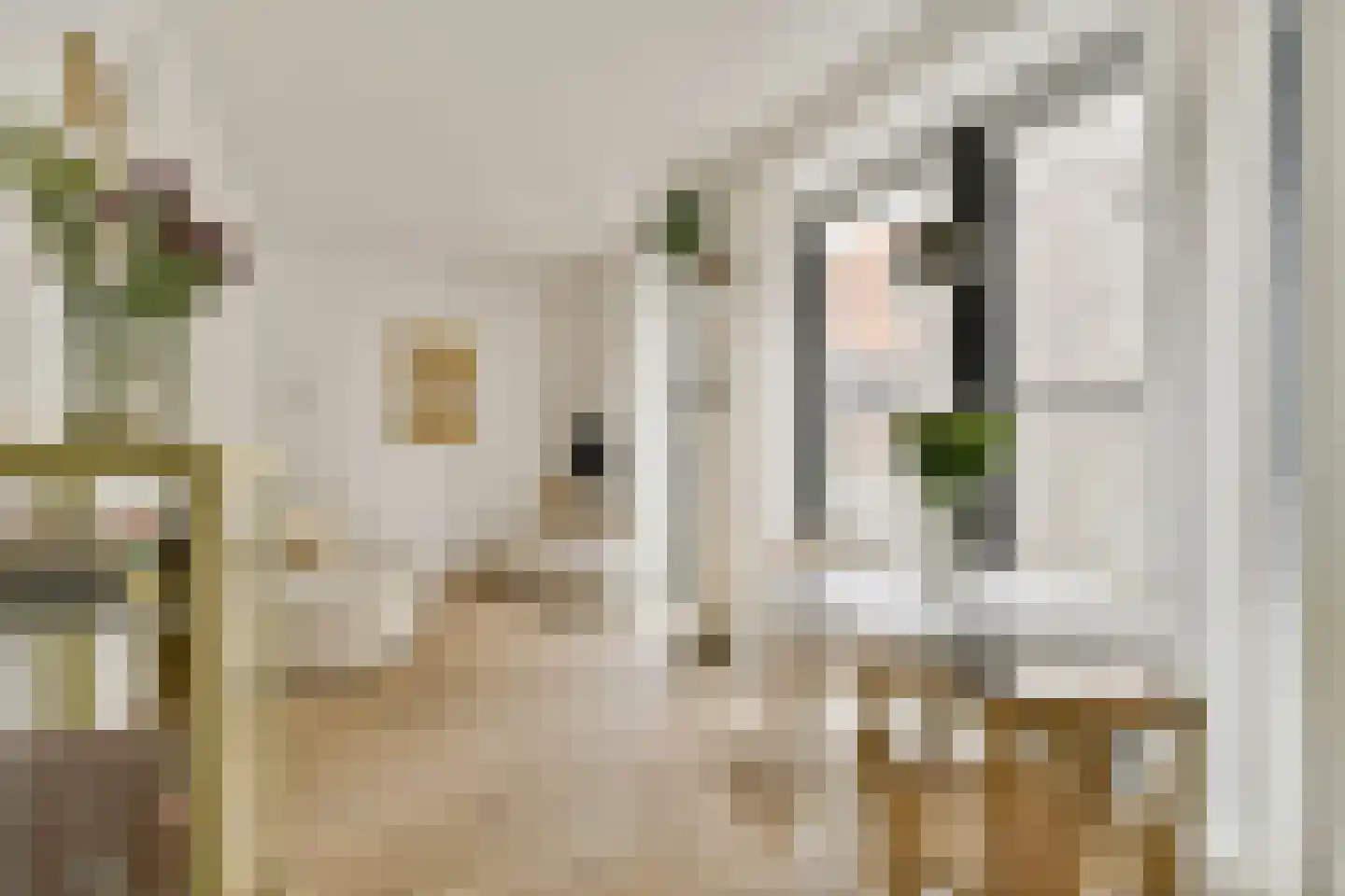 Lutonhof 379 Amsterdam thumbnail 6