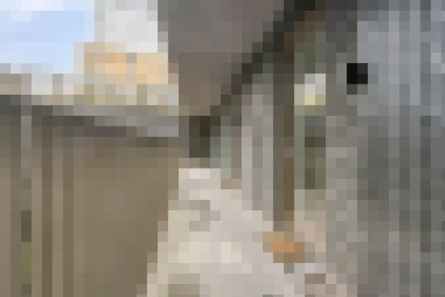 Lutonhof 391 Amsterdam thumbnail 23