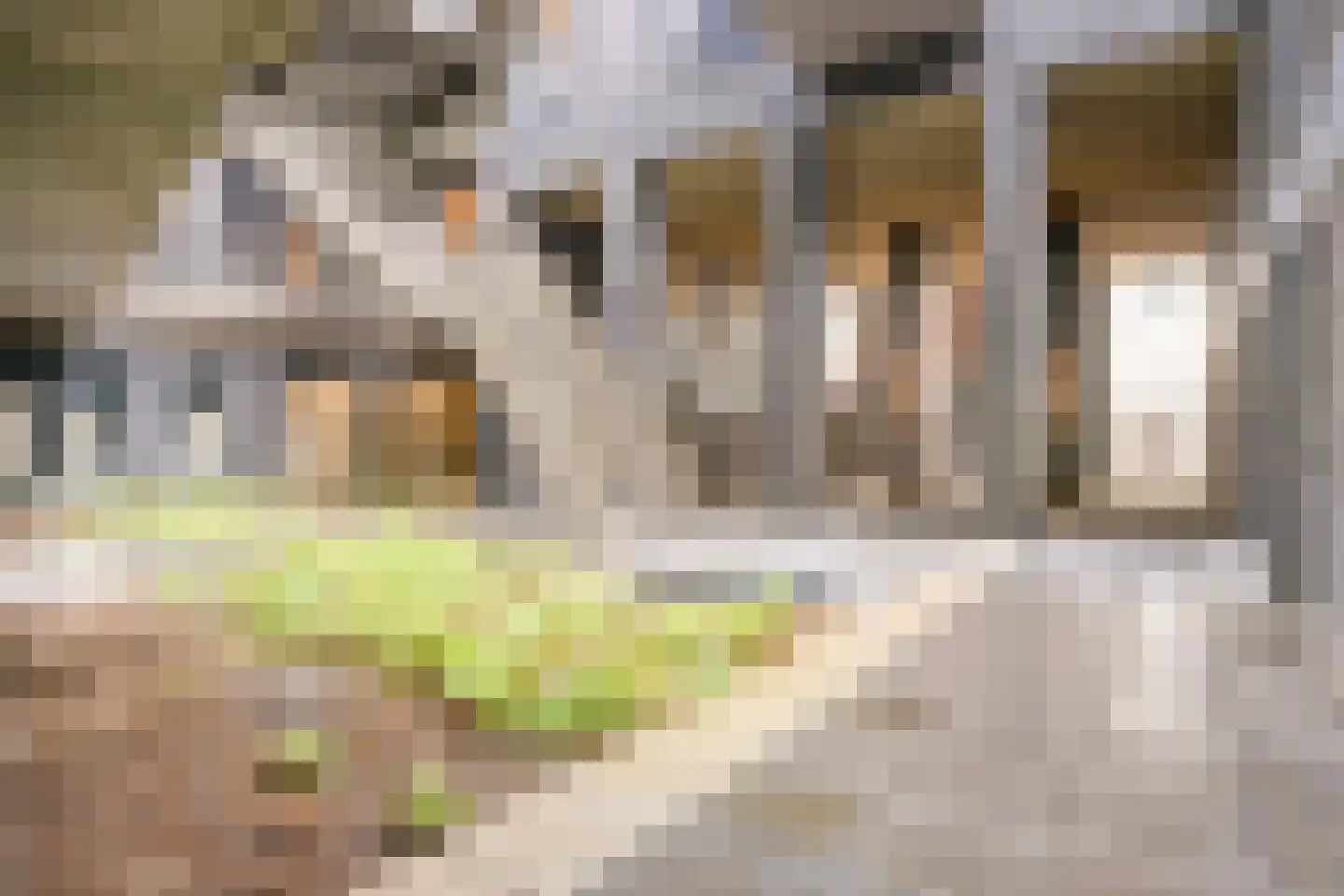 Lutonhof 391 Amsterdam thumbnail 24