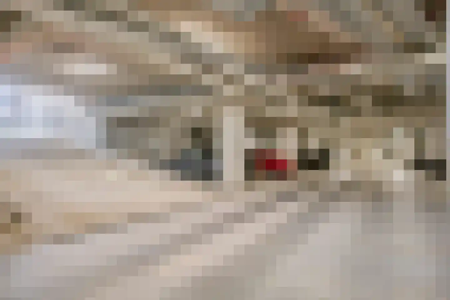 Lutonhof 391 Amsterdam thumbnail 26