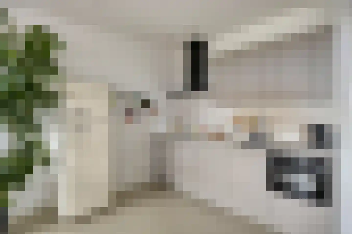 Lutonhof 391 Amsterdam thumbnail 6