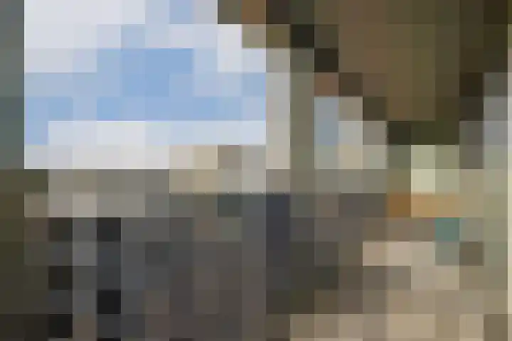 Lutonhof 397 Amsterdam thumbnail 11