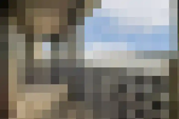 Lutonhof 397 Amsterdam thumbnail 12