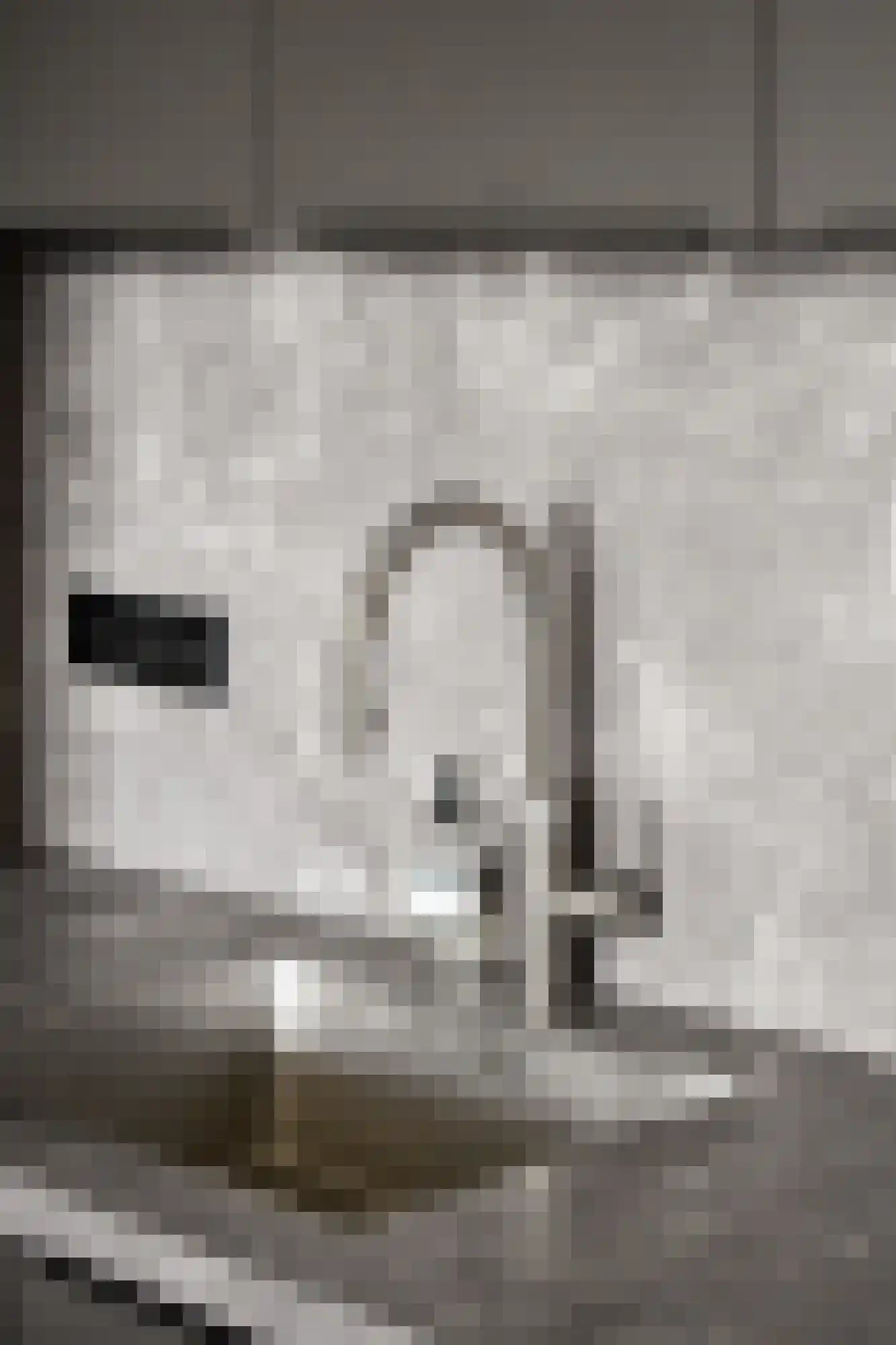 Lutonhof 413 Amsterdam thumbnail 9