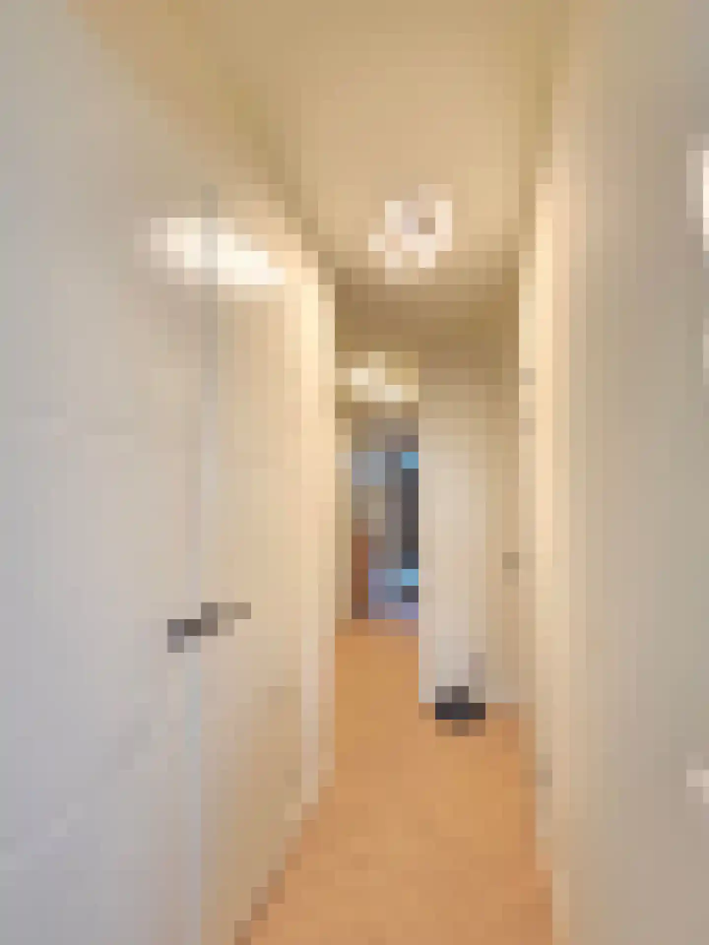Lutonhof 423 Amsterdam thumbnail 10