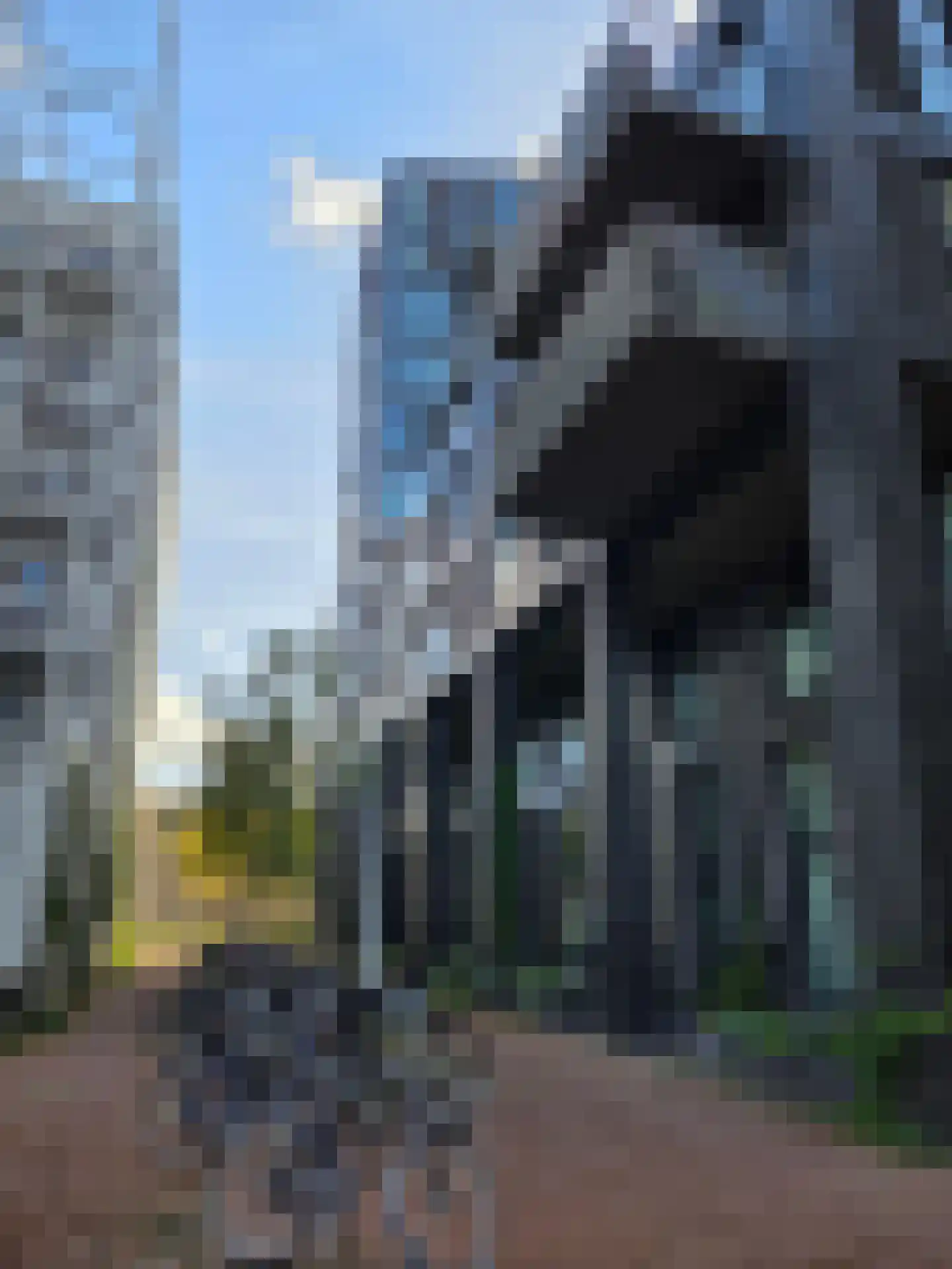 Lutonhof 423 Amsterdam thumbnail 29