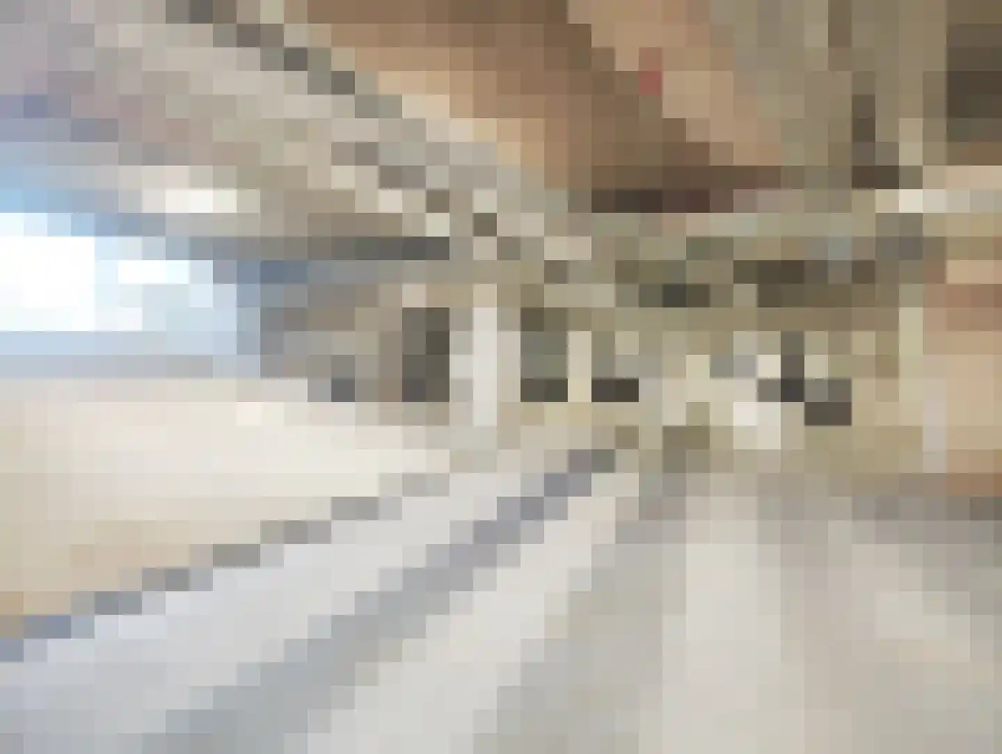 Lutonhof 423 Amsterdam thumbnail 32