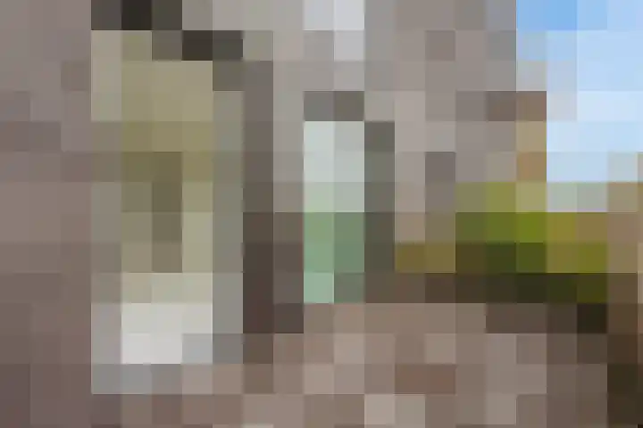 Lutonhof 445 Amsterdam thumbnail 10