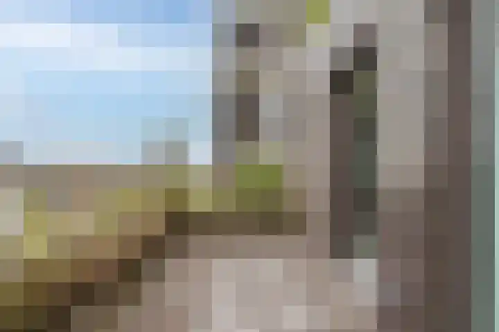 Lutonhof 445 Amsterdam thumbnail 11