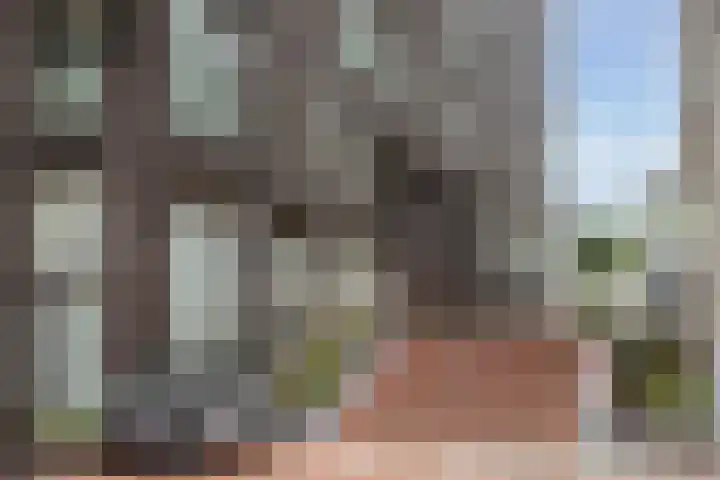 Lutonhof 445 Amsterdam thumbnail 24