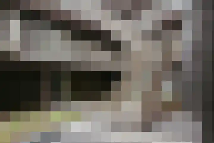Lutonhof 445 Amsterdam thumbnail 25