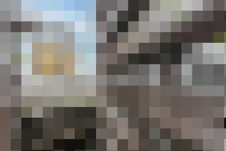 Lutonhof 445 Amsterdam thumbnail 26