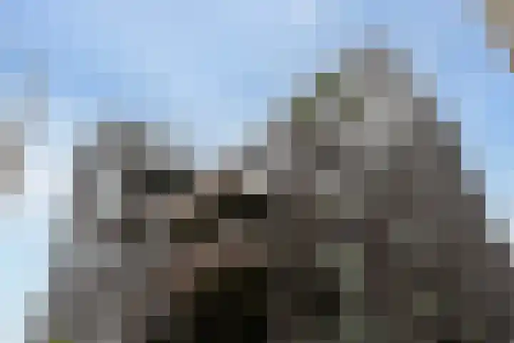 Lutonhof 445 Amsterdam thumbnail 4