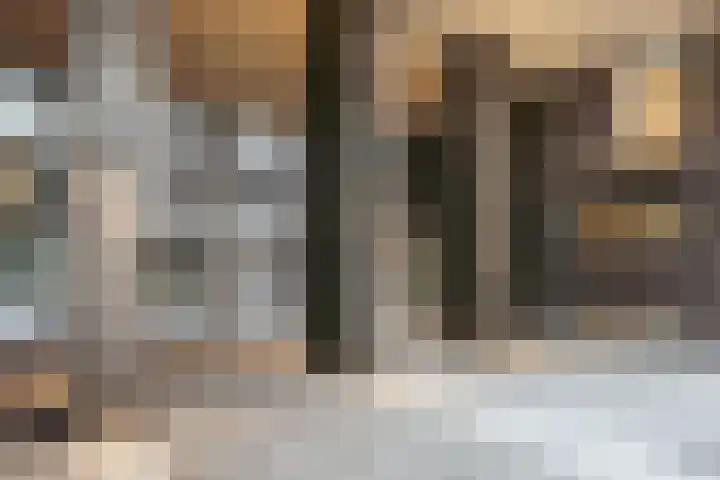 Lutonhof 445 Amsterdam thumbnail 5