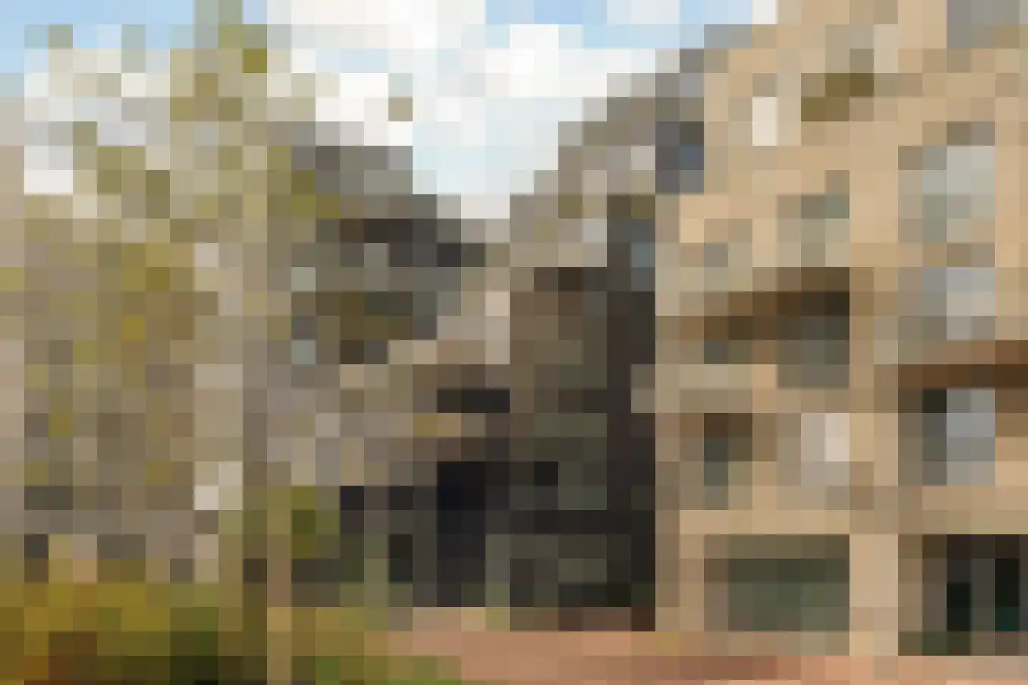 Lutonhof 449 Amsterdam thumbnail 33