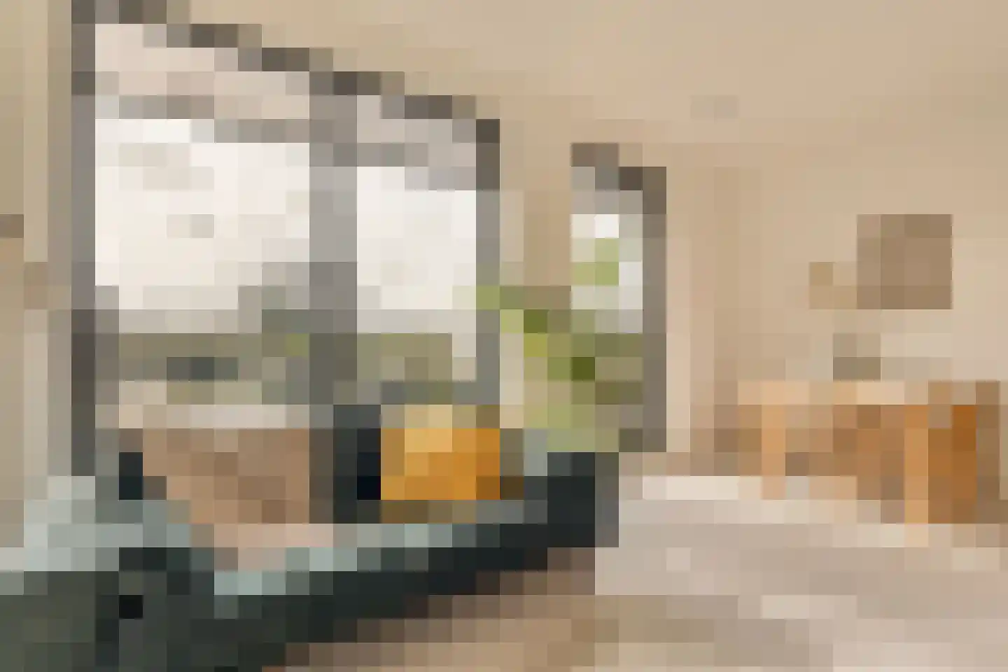 Lutonhof 449 Amsterdam thumbnail 6