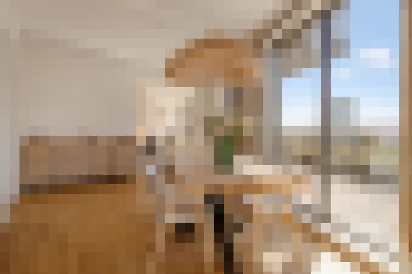 Lutonhof 453 Amsterdam thumbnail 14