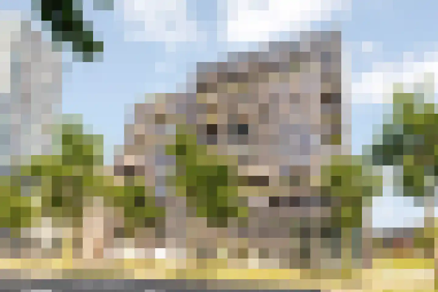 Lutonhof 453 Amsterdam thumbnail 39