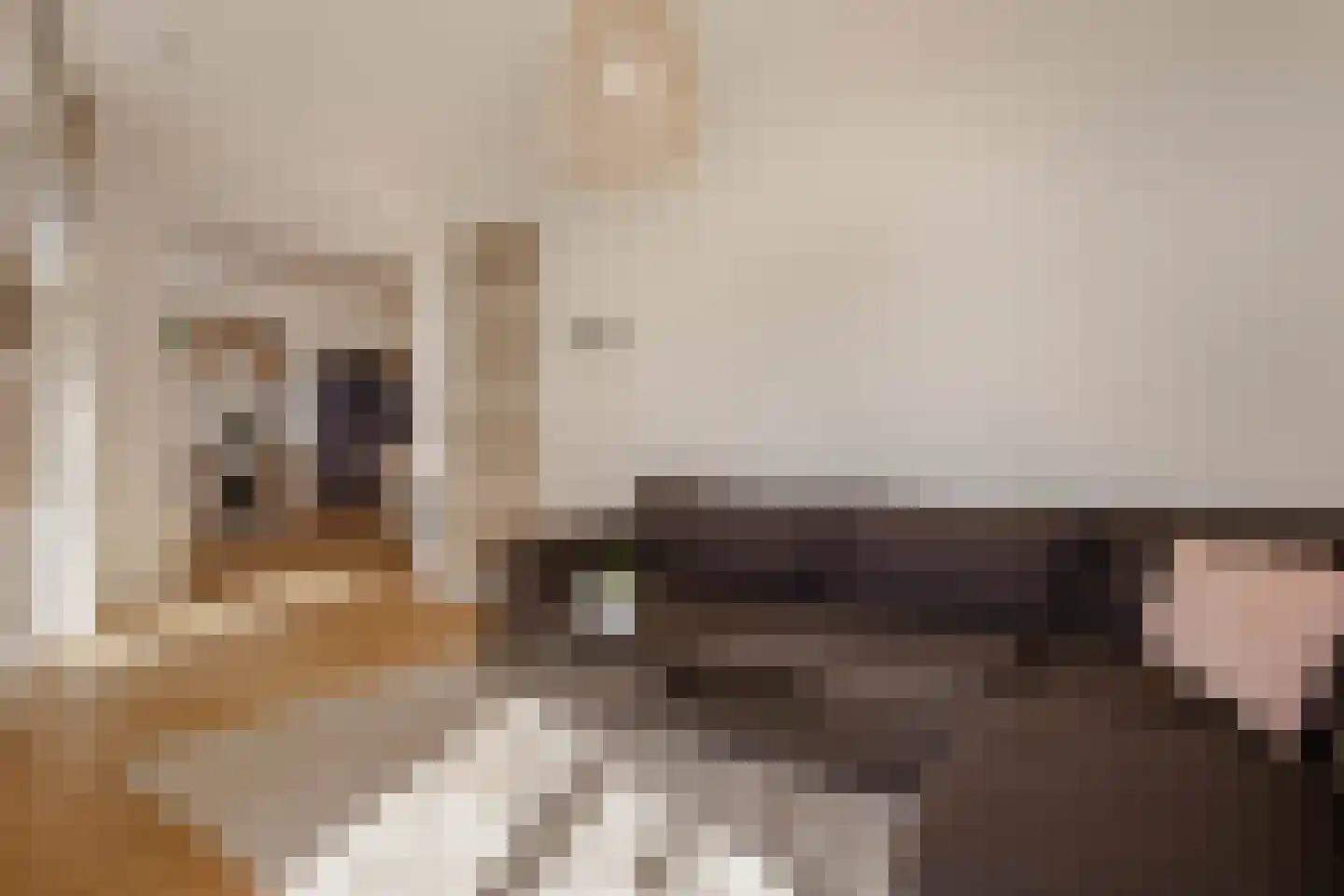 Lutonhof 453 Amsterdam thumbnail 5