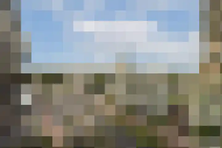 Lutonhof 467 Amsterdam thumbnail 7