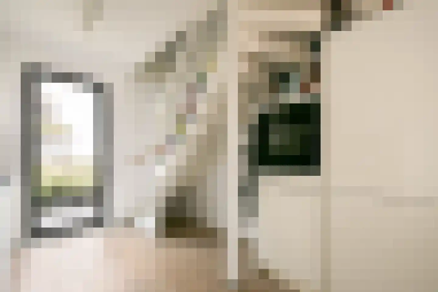 Lutonhof 475 Amsterdam thumbnail 12