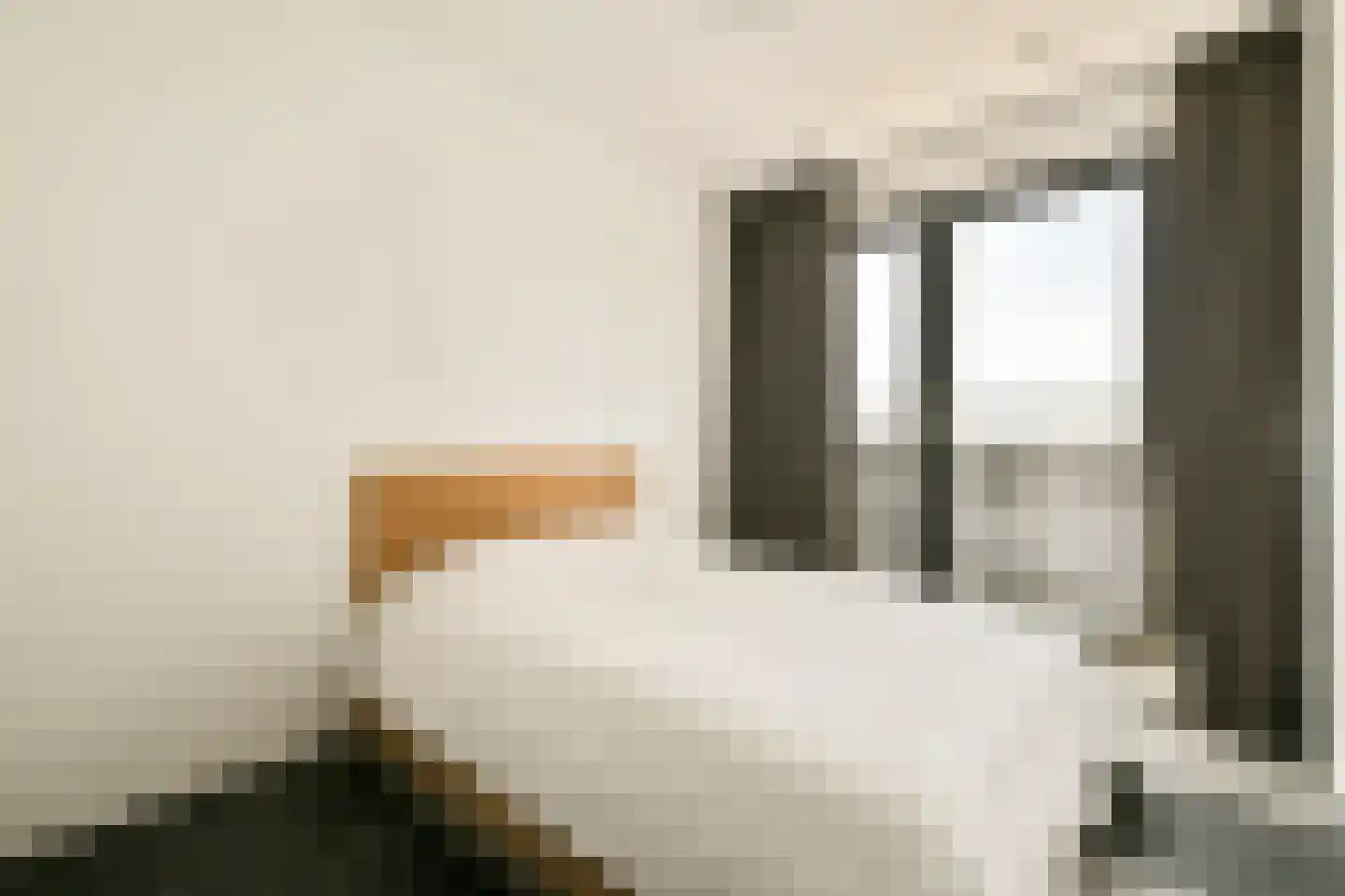 Lutonhof 475 Amsterdam thumbnail 20