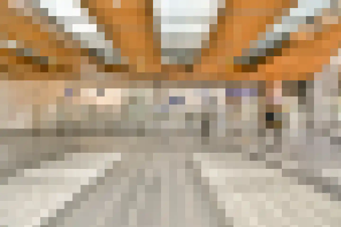 Lutonhof 475 Amsterdam thumbnail 28