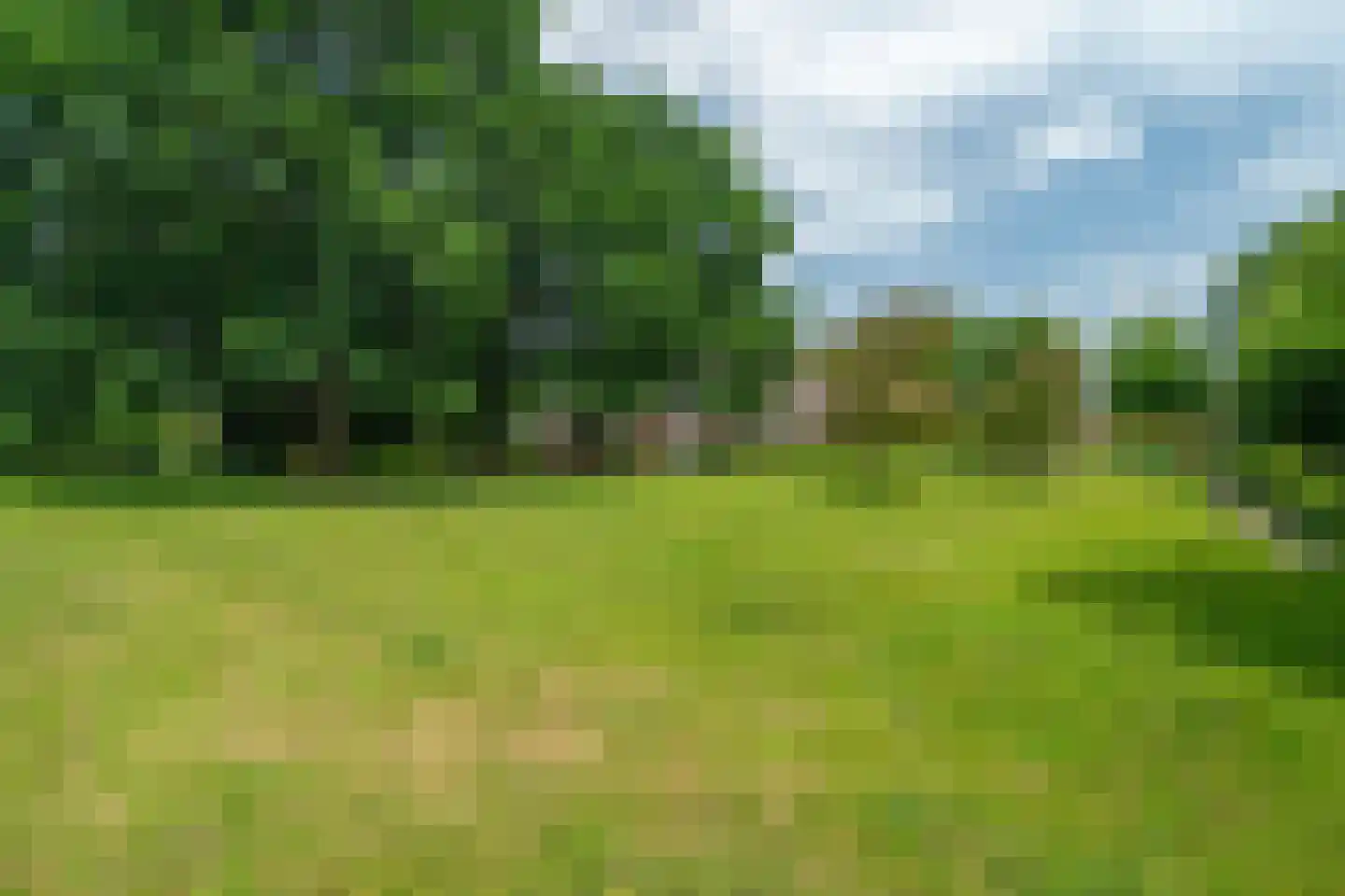 Lutsborgsweg 35 Haren Gn thumbnail 100
