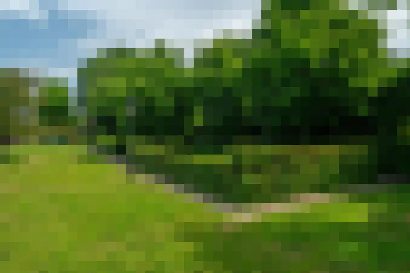 Lutsborgsweg 35 Haren Gn thumbnail 102