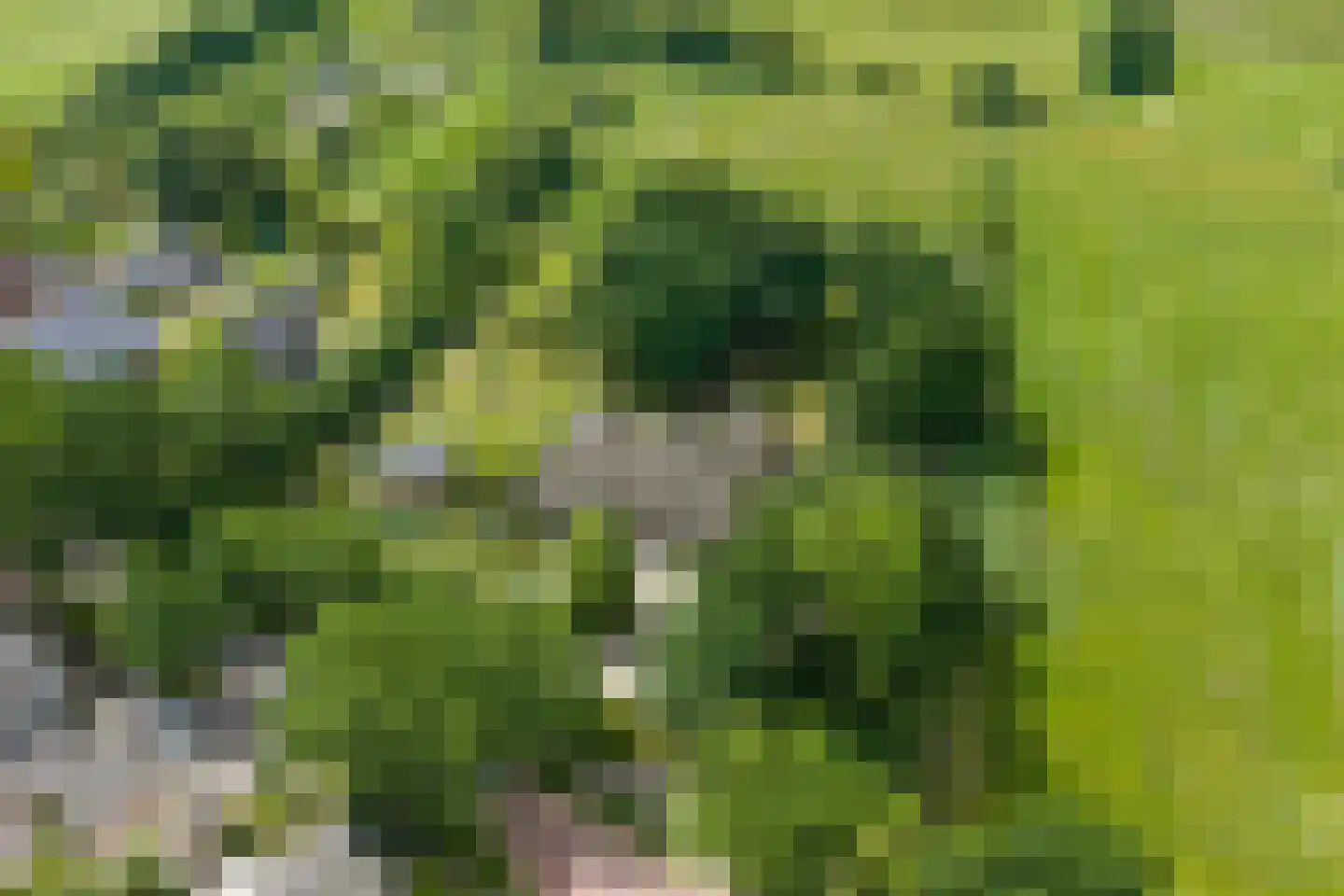 Lutsborgsweg 35 Haren Gn thumbnail 107