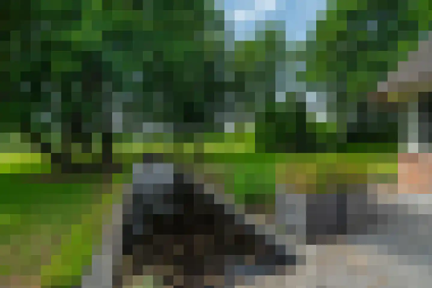 Lutsborgsweg 35 Haren Gn thumbnail 91