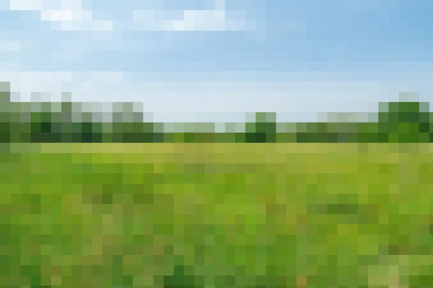 Lutsborgsweg 35 Haren Gn thumbnail 99