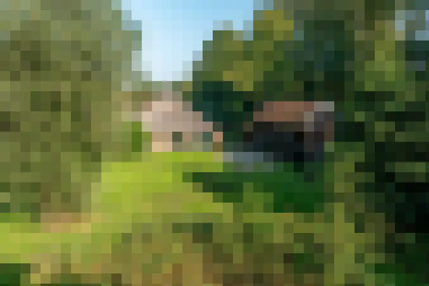 Lutsborgsweg 73 Haren Gn thumbnail 4