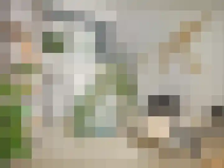 Lutskedyk 1 Stiens thumbnail 5