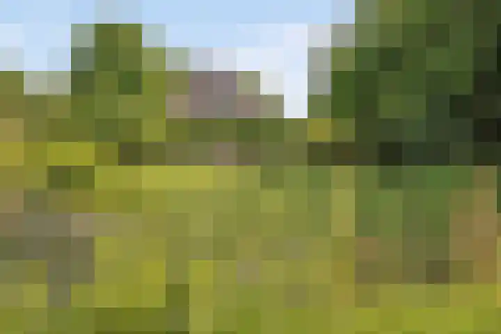 Lutswâl 11 in Ruigahuizen