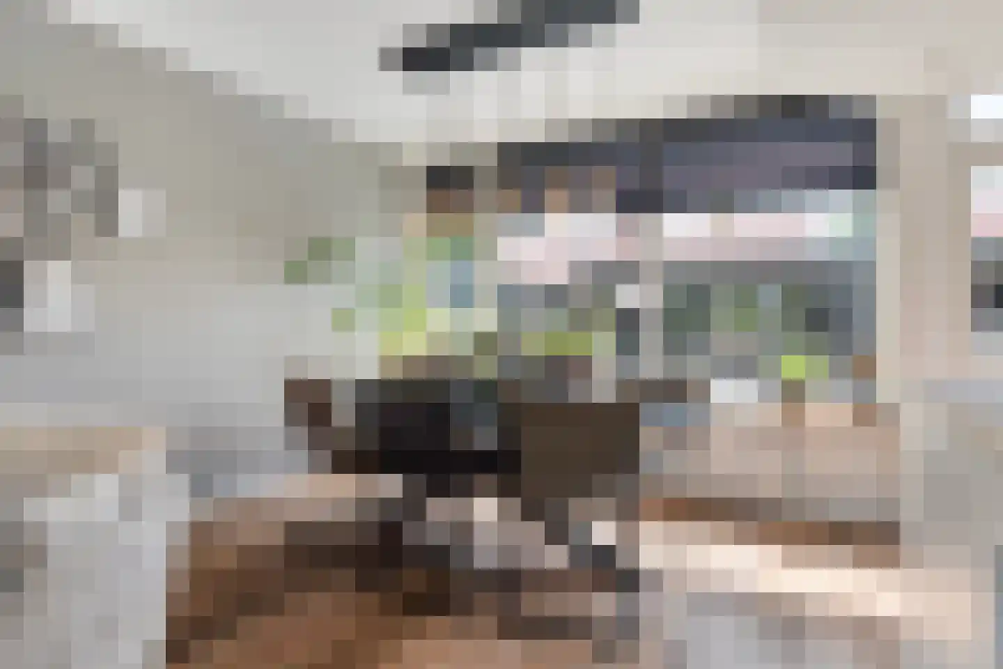 Luttekenstraat 14 Elburg thumbnail 12