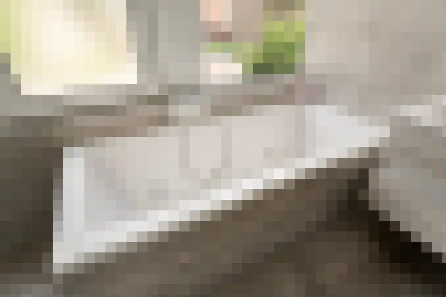 Luttekenstraat 14 Elburg thumbnail 22