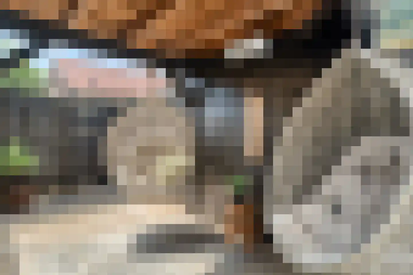 Luttekenstraat 14 Elburg thumbnail 32