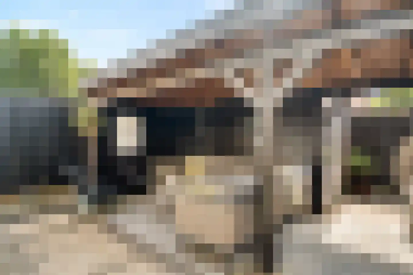 Luttekenstraat 14 Elburg thumbnail 33
