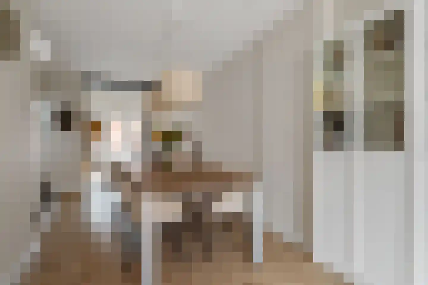 Luttekepoortstraat 13 Harderwijk thumbnail 12