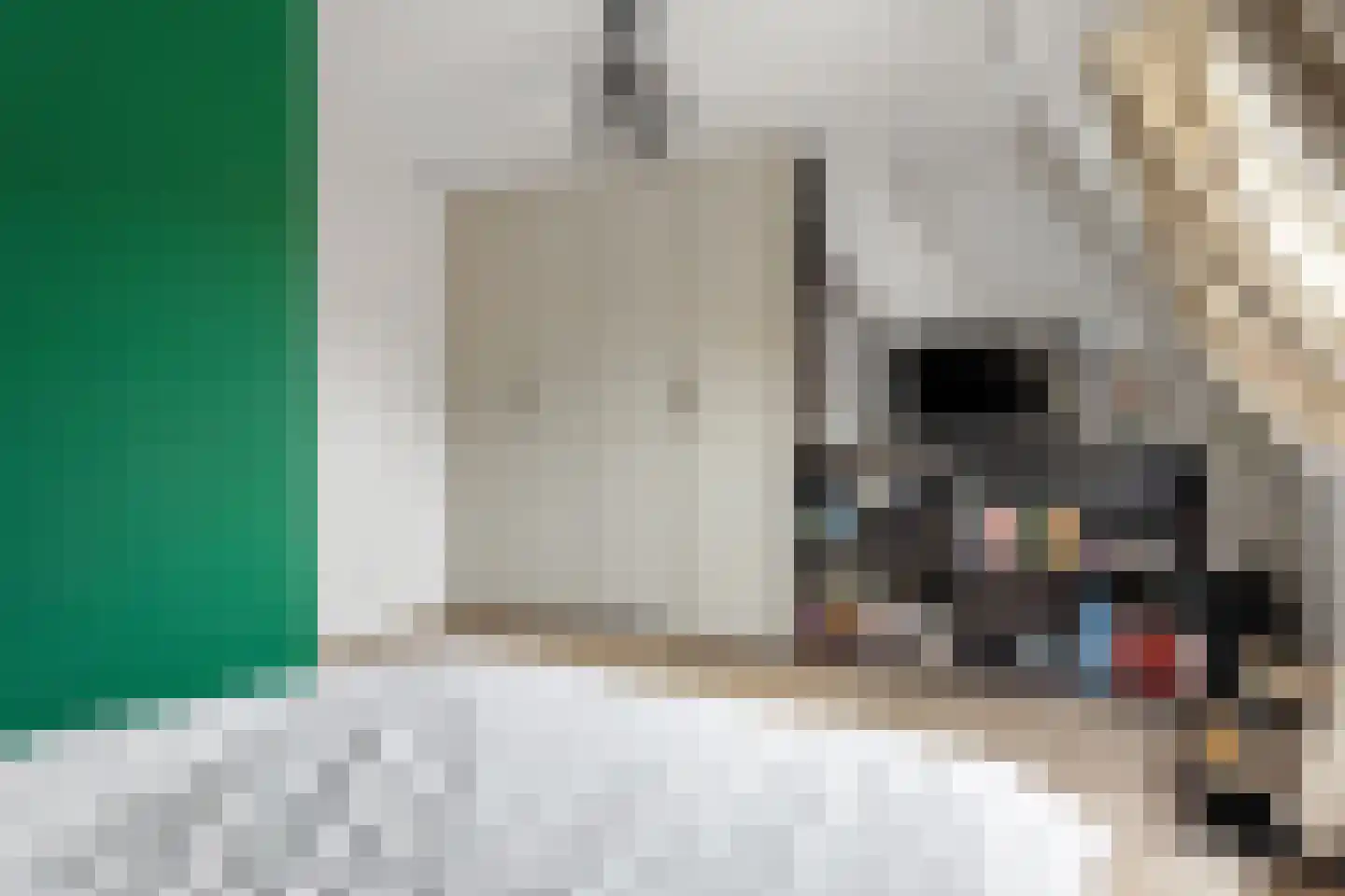 Luttekepoortstraat 13 Harderwijk thumbnail 22
