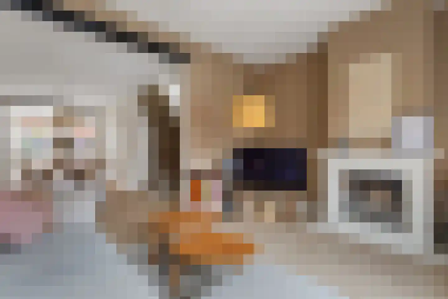 Luttekepoortstraat 13 Harderwijk thumbnail 6