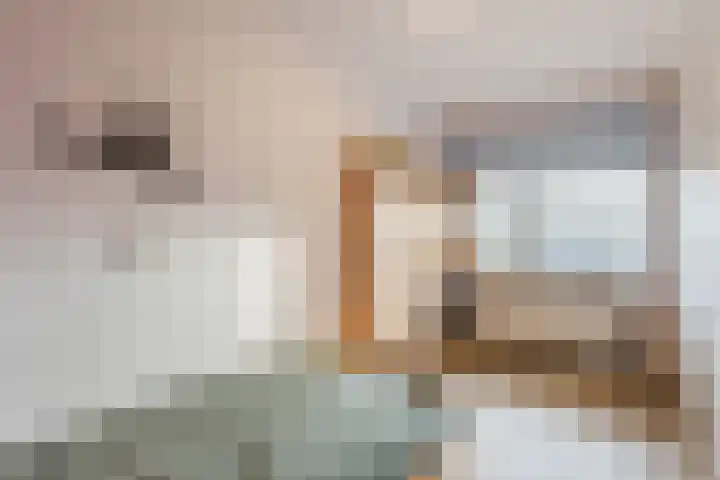 Luttekepoortstraat 152 Harderwijk thumbnail 21