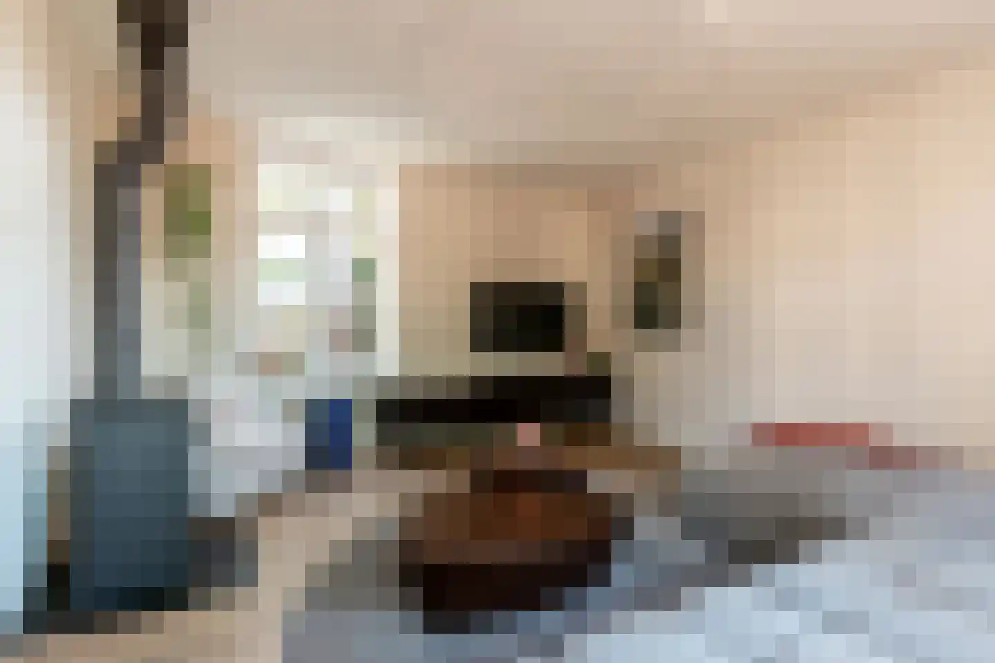 Luttekepoortstraat 33 Harderwijk thumbnail 12