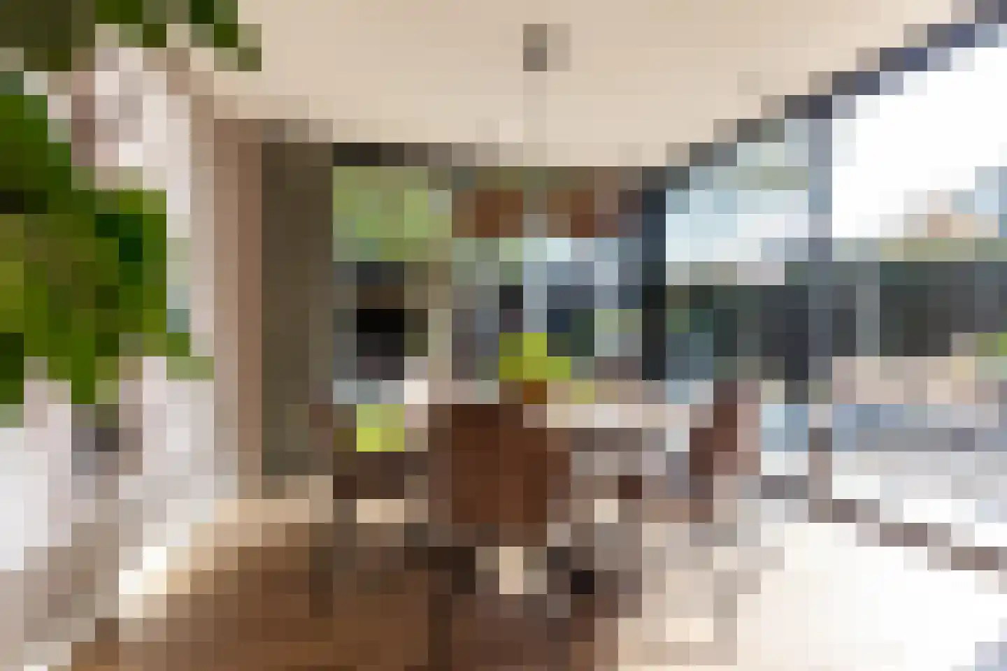 Luttekepoortstraat 33 Harderwijk thumbnail 18